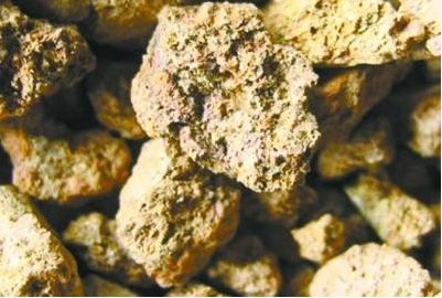 ϡ���I(y��)�顰�»�����ע������c���C