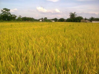 �����Ո󣺇���ɫ�x�C�ИI���F���Ը������^���������ИI�����lչ