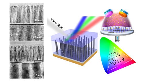 �������������аl(f��)���͵��x��Ԫ�Y(ji��)��(g��u)ɫ���ϼ��Ƃ似�g(sh��)