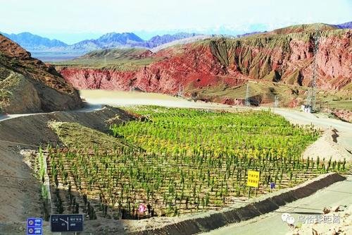 ��ɽ����Ȼ�Y�YԴ�ֳ��m���M�Gɫ�Vɽ���O����