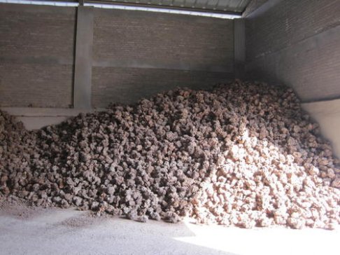 2020���ϰ����Vɰ�Ј��u��