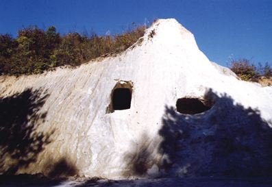 �҇��ߎX���ИI���Ĵ�lչڅ��