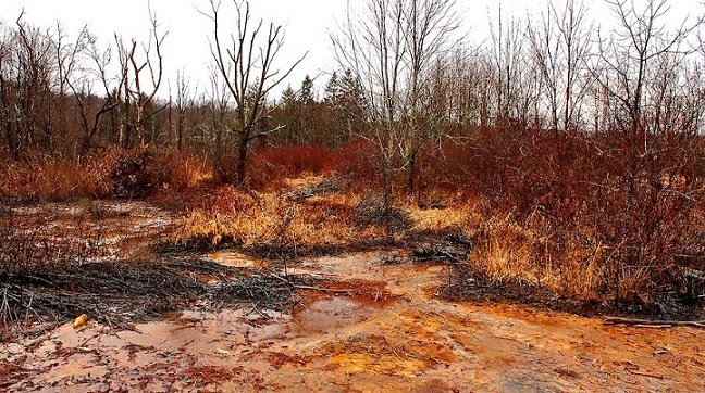 �����_�l�����ԏUˮ��ȡϡ����ˇ