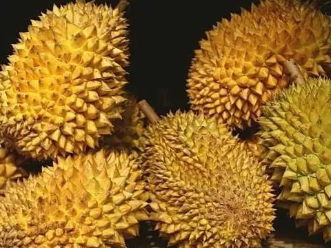 ����ϱ�D�f�����ٹ���ɏ�ˣ����д���;���ƌW(xu��)�ң���ɏ��������늳�