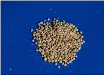 ������Ӱ� �����²�2020���ϰ���I�ա��������p�»�