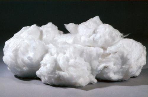 �B�m�մ��w�S���Ƃ������ü��о��F��