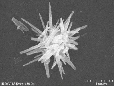 һ���˽�������﷨�����ڼ{�׷��w�Ƃ��еđ�(y��ng)��