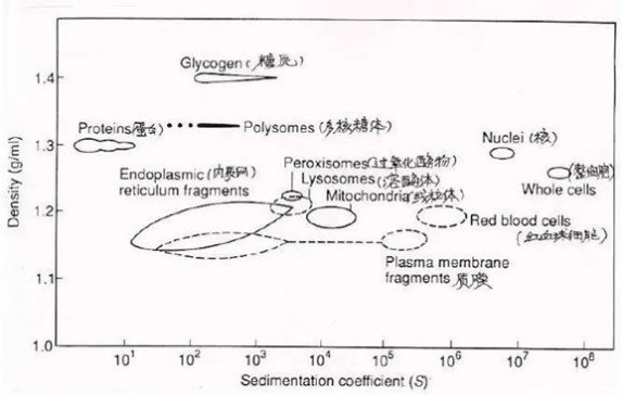 Сؐ�v��֮�x�ĳ����g�Z - ����ϵ��
