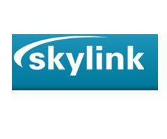 ��Ӹ�Ĥ�ù����̣�˹�P�����w���̼��g���酢չ��λ����2020ȫ��ʯӢ�����