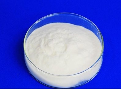 ��׃�����������w�������M�������W(w��ng)�t�����ϡ��������z