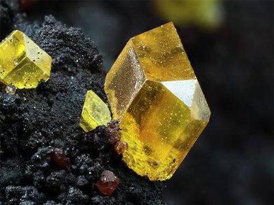 ���f���Fǰ�������f�aƷ�N��ͬ�����L3.1%