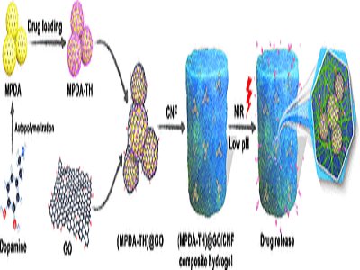 �҇��ƌW���״Ό��F(xi��n)ˎ�����ܿɿ�ጷ�