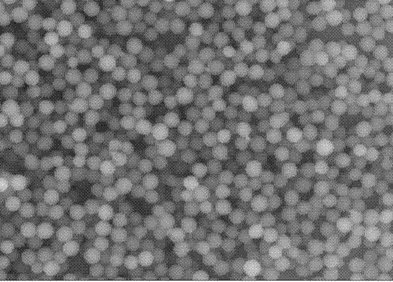 �{���w�������¶��ϡ������Ӳ����