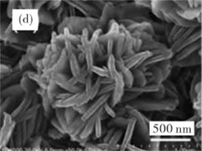 ����Ƃ�����ܠƬ�����������ļ{�������X��