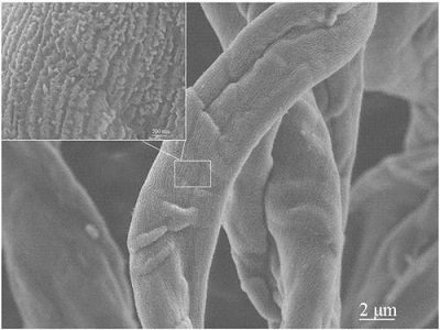 ��(l��i)�����ס��ն������������ ��ֻ�������ϣ�߀�����·�