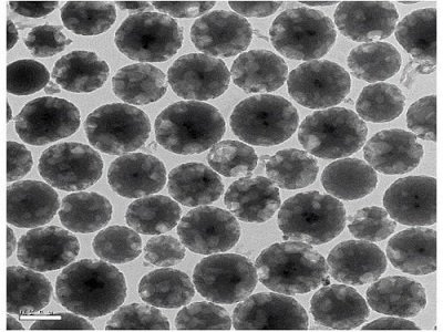 ������Ȼ�ƌW���𡰹��ܽ�ײ��ϻ��A�ƌW���ġ��ڏ͵���W����