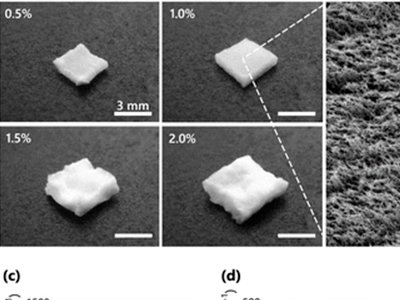 �|����W(xu��)�Ƃ��һ�N���ᡢ��ȼ���п׼{���w�S�ظ����z