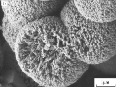 һ���˽⣺���̼���}��С�ס�������