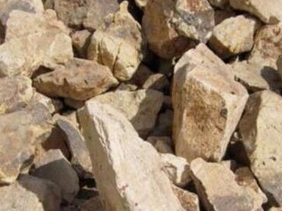 �灆��Bonasika�X���V��̎���������a