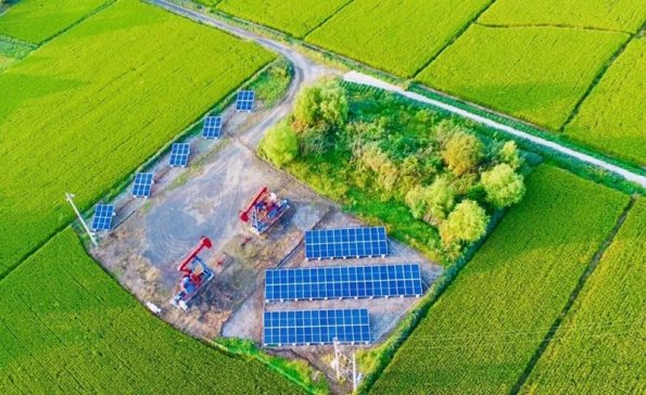 ����ֲ�ʽ�ġ�̼�к͡����ԣ�