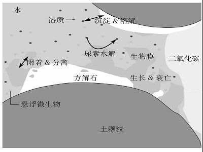 ΢�����T��̼���}�������g�������н��O�л�ɰ���ŵ��񼼣�