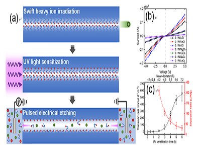 �ۺ���{�׿׵����ƫ@�Mչ