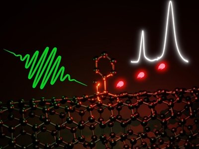 ��W����ȱ�ݸ���̼�{�׹�