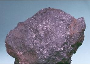 �҇��ƌW�������ذl�F�ɷN�µV��