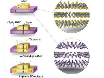 �����ڶ��S�댧(d��o)�w�ξ��Ƃ��о��Ы@��Ҫ�M(j��n)չ