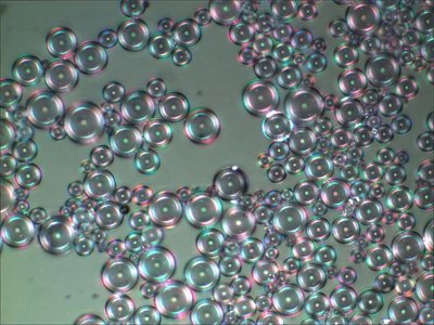 �Pʢ����|�٫@ʡ����һ�Ȫ������Ĳ���΢�鑪���،���ǰ���V� 