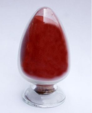 һ���˽�{���~�۵��Ƃ估����