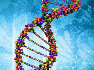 ��ʯ��ˎһ����������L3�� ��ُ���lˎ�I�M��̼���}ԭ��ˎ�I��