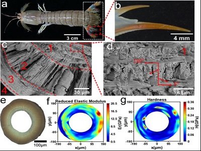 ���������ϡ�����r���ľ�з�����Ƃ���ߏ����g������(f��)�ϲ���