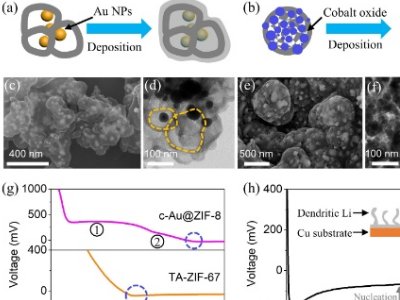 �Ϻ������}����䇽���늳�ؓ�O��MOF����Ϳ�Ӽ����僂��|ģʽ�о���ȡ��ϵ���Mչ