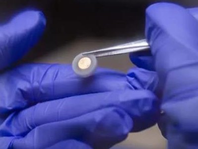 ��Ъ����W�г�䇽��ٹ̑B늳ص���Ҫ���} ���Ƅ����̘I���lչ