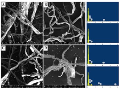���������������ÏU���YԴ�l(f��)�ͮa(ch��n)�w�S��ø�о�����ȡ���M(j��n)չ