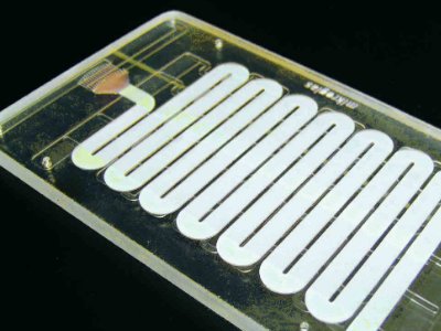 �մ�΢�������������ƚ��еđ���