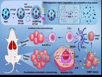 �����ˆT�_�l(f��)����λ푑�(y��ng)�Ϳɽ����������