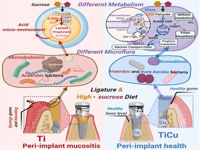 ���~����⁺Ͻ��о�ȡ����Ҫ�Mչ