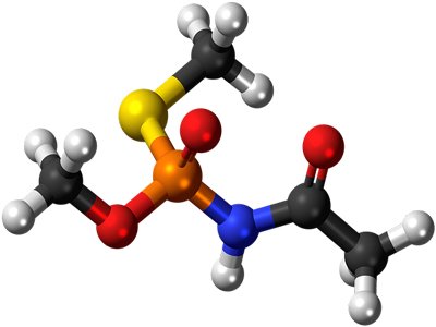 �����o����2025�������F䇇����������_207�f��