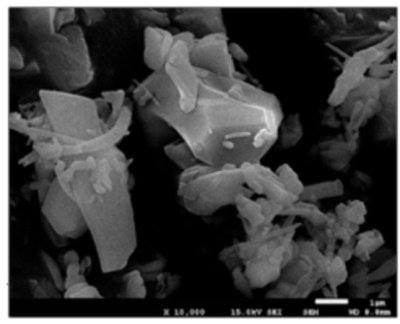 ����̼��������������@�ش�ͻ��