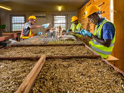 ����f�I���cESG���� ����I�lչ��ѭ�h