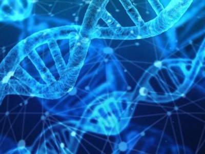 ���������d�a�I�΄��Д༰��ʮ���塱�lչ���h����ƪ��