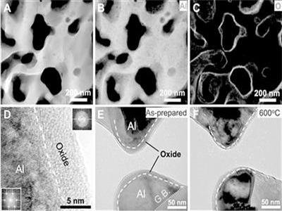 �ߏ��ȸ߷����Լ{�׶���X�Ƃ�ȡ���Mչ