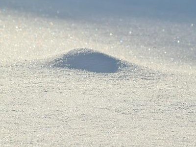 ���������Wʡ�����������w�����c�طN�մɡ����c������O��ُ���Ŀ�����̼�ܟ��Y�t���И˹���