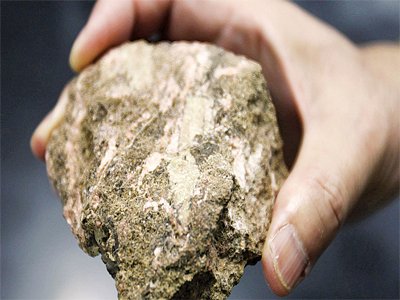 �ձ��ֳ�������Ͷ�Y����_����ϡ���Ŀ�@��25��ɵV�S���C