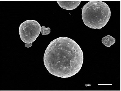 һ���˽������u�۵��Ƃ估����