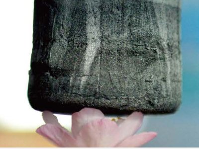 ��피��Ľ^�ᱣ�ز��ϣ������z��yyds��