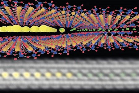 ԭ�ӡ����ա���ʾ����ճ���е��x���\(y��n)��