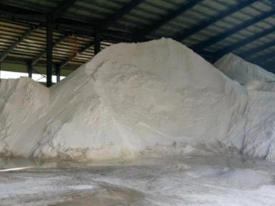 ��2021�����ȫ��ʯӢ���Ѳ���{�С�֮������ɰ